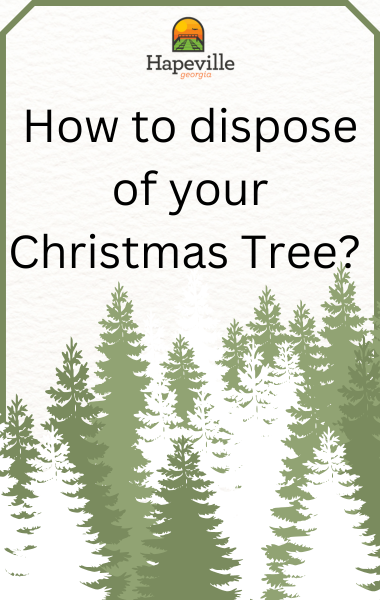 Tree Disposal